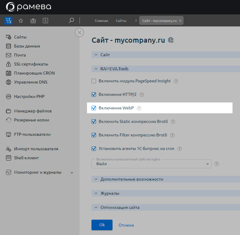 Включение автоконвертации в WebP в панели управления