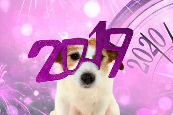 Дайджест полезных обновлений 2019 года