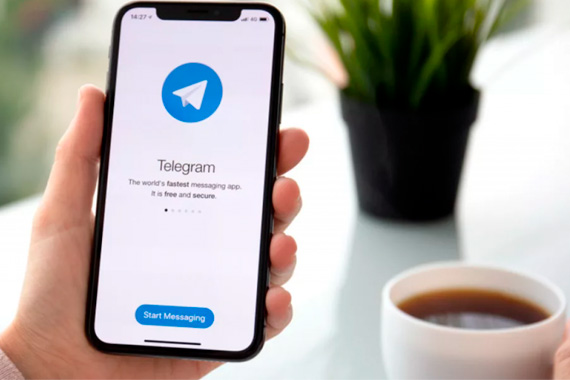 Получение оповещений в Telegram